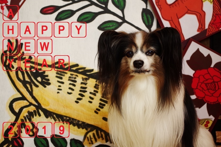 2019年賀状.jpg