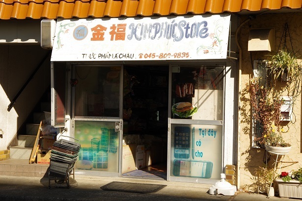 IMGP0499.JPG