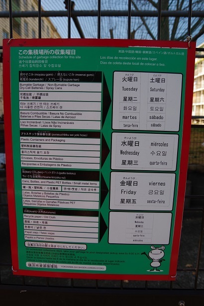 IMGP0518.JPG