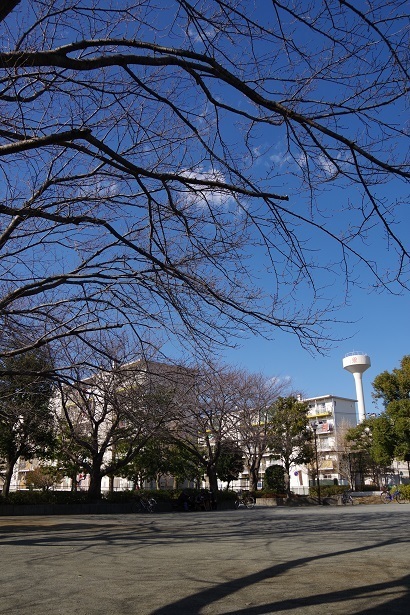 IMGP0537.JPG