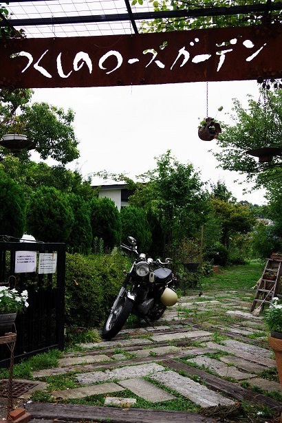 IMGP1113.JPG