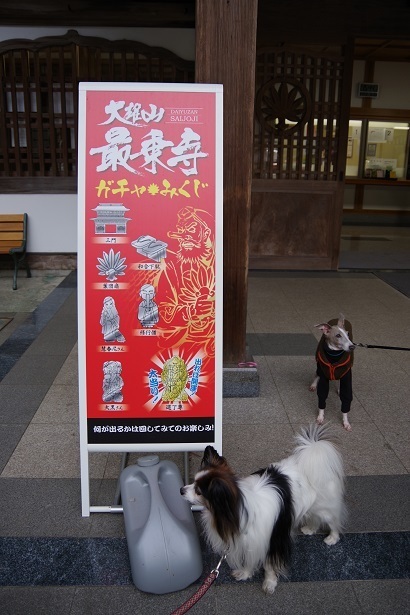 IMGP1384.JPG