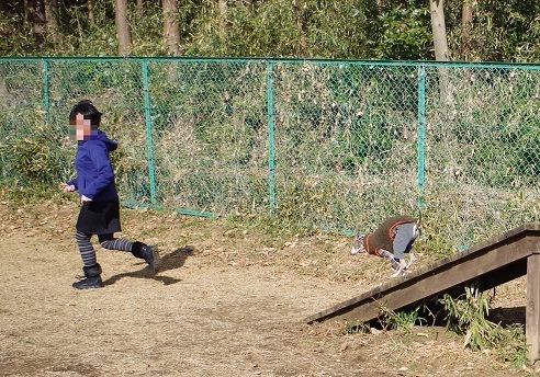 IMGP7789-2.jpg