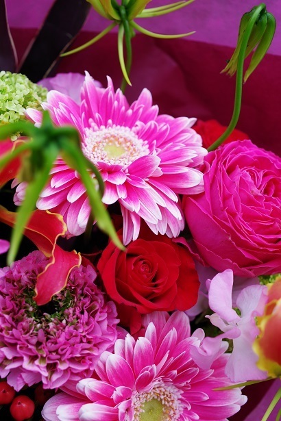 IMGP8609.JPG