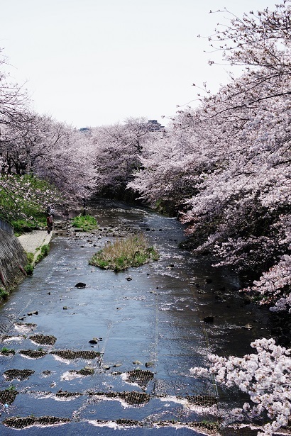 IMGP8776.JPG