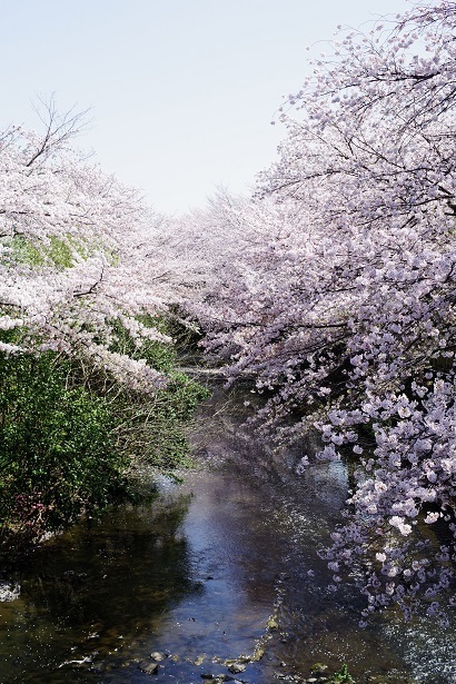 IMGP8839.JPG